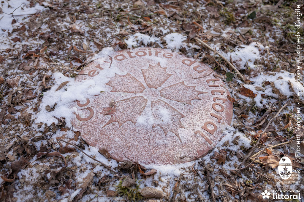 Le logo du Conservatoire du littoral apparait au sol, en céramique