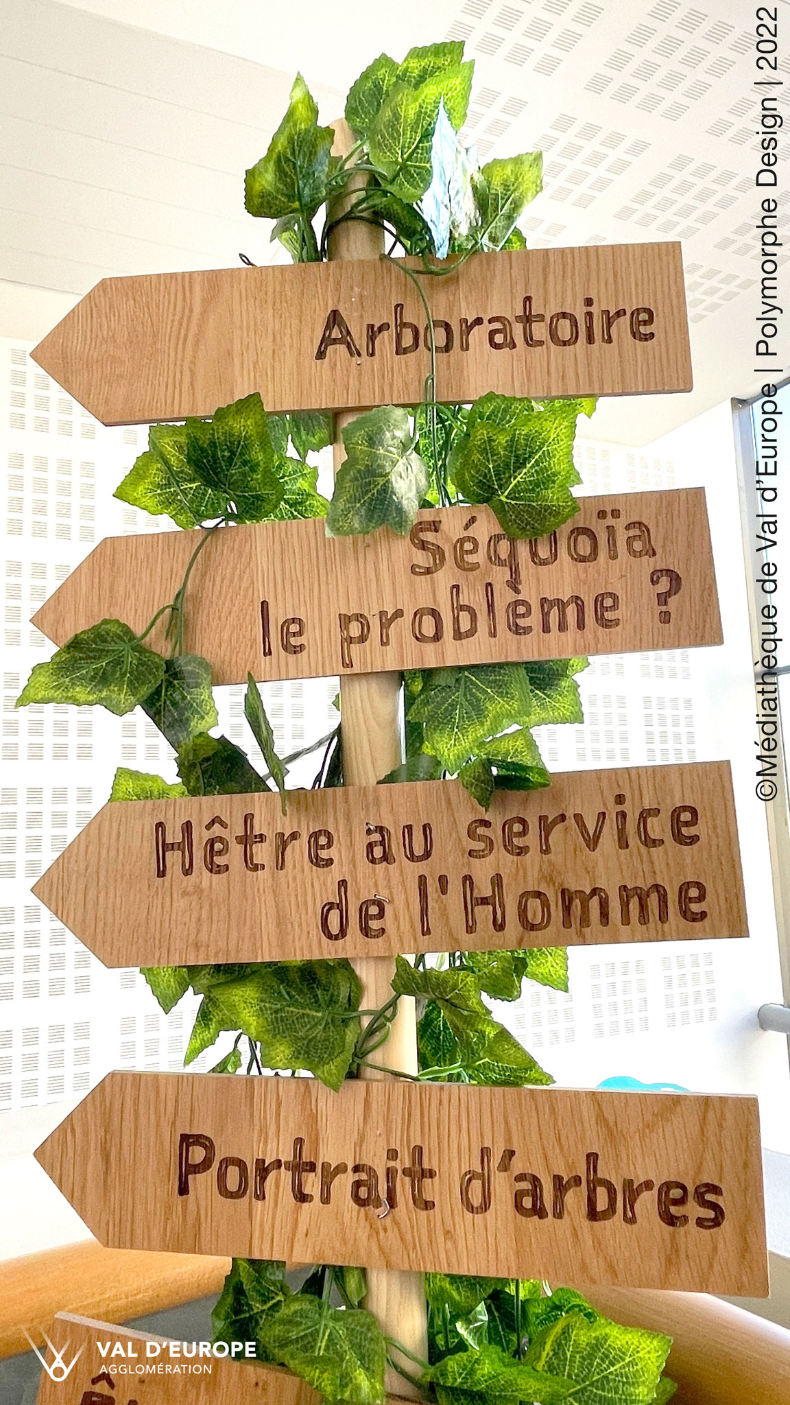 Signalétique dans l'exposition : Arboratoire, SéquOia le problème, Hêtre au service de l'omme, portrait d'arbres.