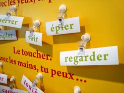 Les sens de l'art